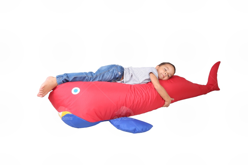 Recline Shark