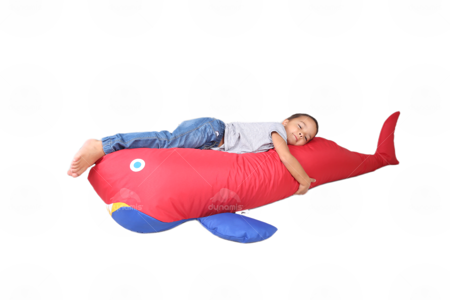 Recline Shark